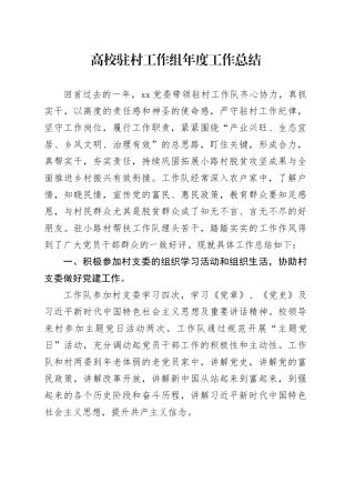 高校驻村工作组年度工作总结