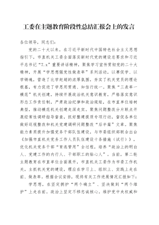 工委在主题教育阶段性总结汇报会上的发言