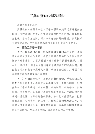 工委自查自纠情况报告