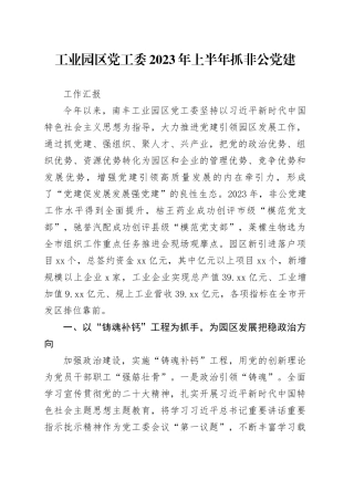 工业园区党工委2023年上半年抓非公党建工作汇报20231007docx