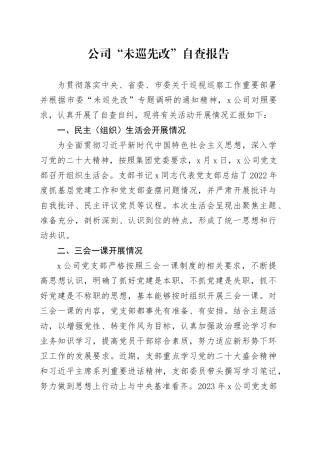 公司“未巡先改”自查报
