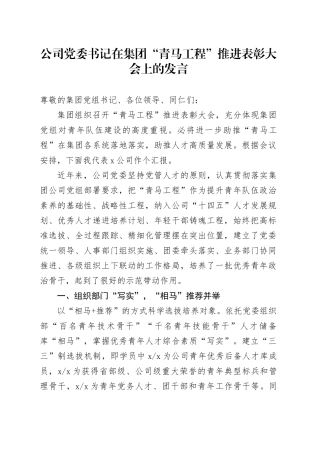 公司党委书记在集团“青马工程”推进表彰大会上的发言