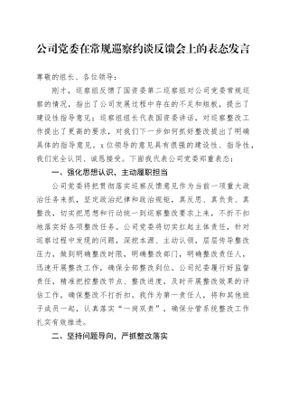 公司党委在常规巡察约谈反馈会上的表态发言