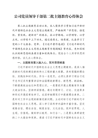 公司党员领导干部第二批主题教育心得体会