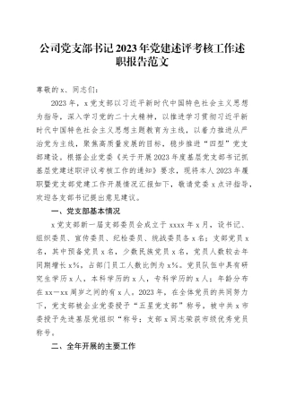 公司党支部书记2023年党建述评考核工作述职报告党建汇报总结20240117