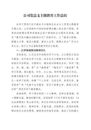 公司党总支主题教育工作总结