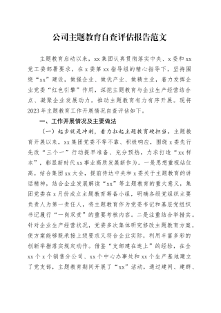 公司第二批主题教育自查评估报告企业工作汇报总结含问题