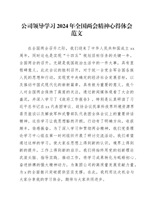 公司领导学习2024年全国两会精神心得体会研讨发言材料企业20240401