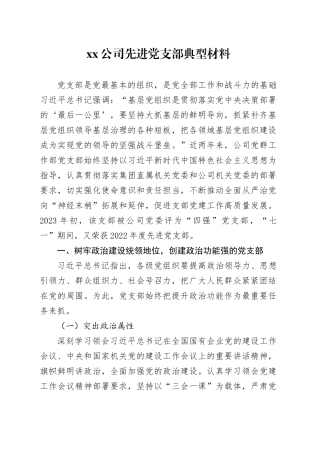公司先进党支部典型材料