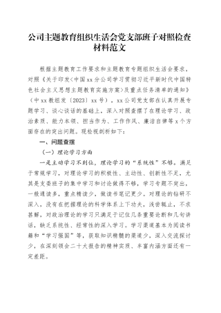 公司主题教育组织生活会支部班子对照检查材料（企业，检视剖析，六个方面剖析发言提纲）六个方面20231227