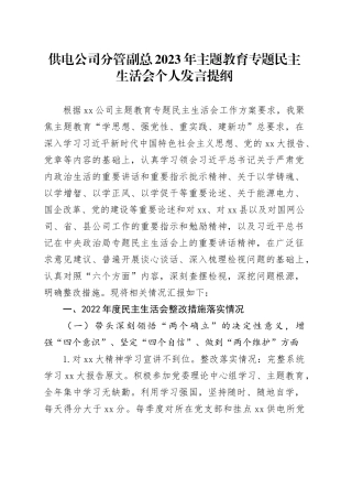 供电公司分管副总2023年主题教育专题民主生活会个人发言提纲（（上年度整改措施落实情况、新六个方面、典型案例剖析））