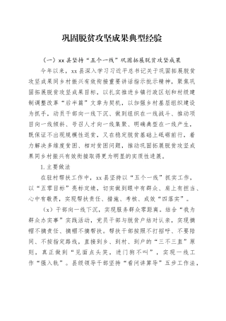 巩固脱贫攻坚成果典型经验