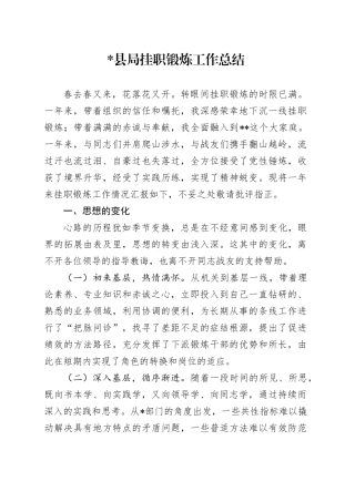 挂职锻炼工作发言总结