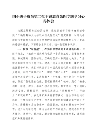 国企班子成员第二批主题教育第四专题学习心得体会