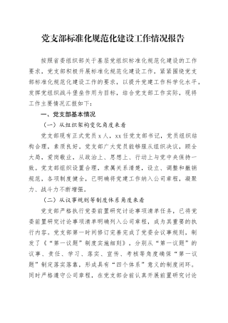 国企党支部标准化规范化建设工作情况总结报告（4500字）
