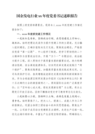 国企发电行业XX年度党委书记述职报告