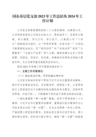 国企基层党支部2023年工作总结及2024年工作计划
