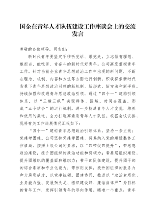 国企在青年人才队伍建设工作座谈会上的交流发言