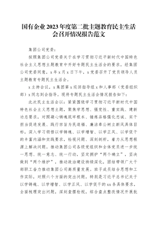 国有企业2023年度主题教育民主生活会召开情况报告（公司，工作汇报总结第二批次）20240117