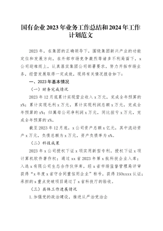 国有企业2023年业务工作总结和2024年工作计划汇报报告公司20240124