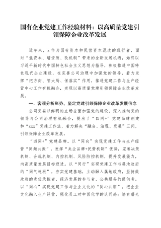 国有企业党建工作经验材料：以高质量党建引领保障企业改革发展公司总结汇报报告