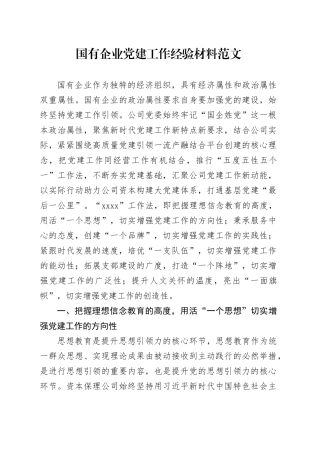 国有企业党建工作经验材料建设公司总结汇报报告20231113