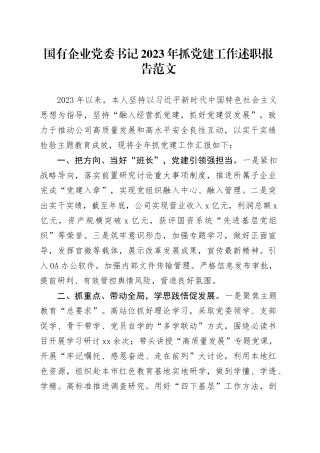 国有企业党委书记2023年抓党建工作述职报告公司汇报总结20240102
