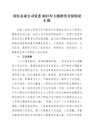 国有企业公司党委2023年主题教育开展情况汇报