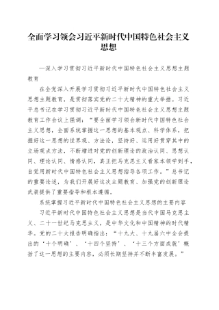 2023全面学习领会习近平新时代中国特色社会主义思想PPT大气党建风深入学习贯彻习近平新时代中国特色社会主义思想主题教育专题党课课件（讲稿）