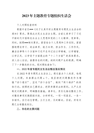 2.2023年主题教育专题民主生活会个人对照检查材料