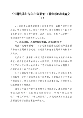 4篇公司面向团员和青年第二批主题教育工作经验材料企业总结汇报报告20231225
