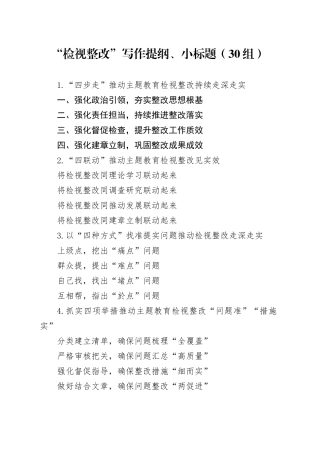 30组检视整改写作提纲小标题231117