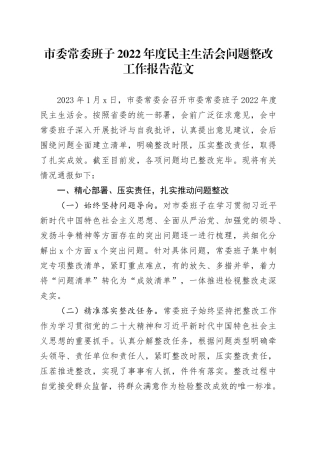 2022年度主题教育民主生活会问题整改工作报告上年度汇报总结2024年1月19日
