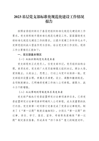 2023基层党支部标准化规范化建设工作情况报告