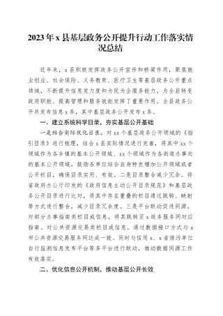 2023年x县基层政务公开提升行动工作落实情况总结