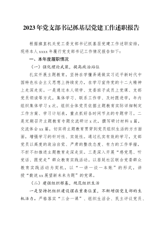 2023年党支部书记抓基层党建工作述职报告20231215