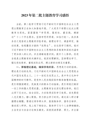 2023年第二批主题教育学习感悟