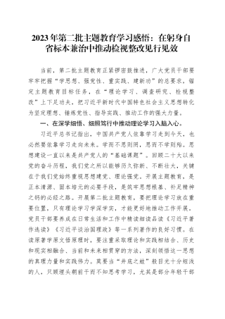 2023年第二批主题教育学习感悟：在躬身自省 标本兼治中推动检视整改见行见效