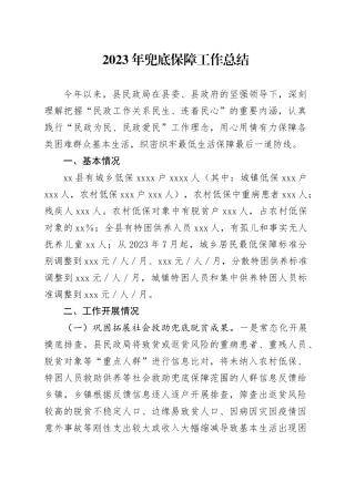 2023年兜底保障工作总结