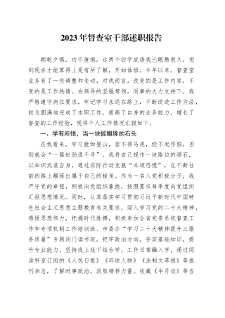 2023年督查室干部述职报告