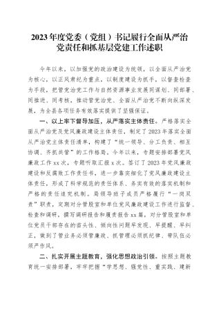 2023年度党委（党组）书记履行全面从严治党责任和抓基层党建工作述职