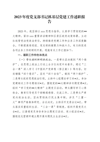 2023年度党支部书记抓基层党建工作述职报告20240108