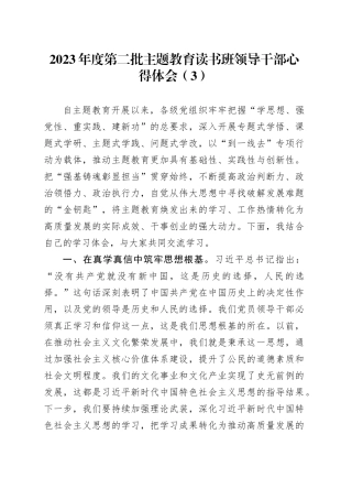 2023年度第二批主题教育读书班领导干部心得体会（3）