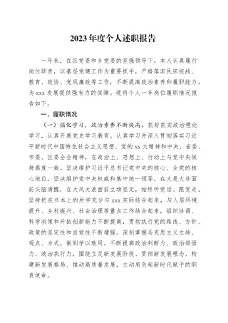 2023年度个人述职报告