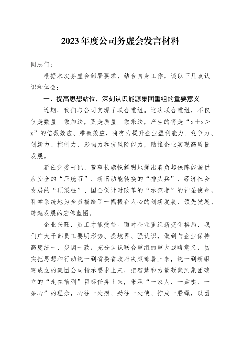 2023年度公司务虚会发言材料_第1页