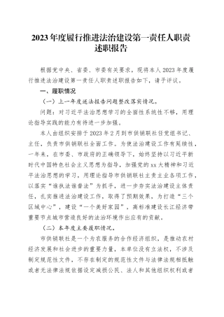 2023年度履行推进法治建设第一责任人职责述职报告