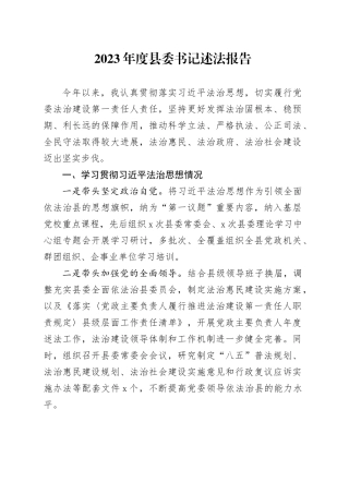 2023年度县委书记述法报告