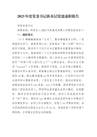 2023年度学院党委书记抓基层党建述职报告