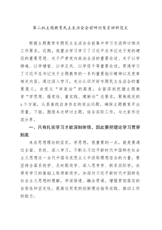 2023年度主题教育民主生活会会前研讨发言材料第二批20240108