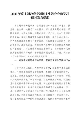 2023年度主题教育专题民主生活会会前学习研讨发言提纲 （6）